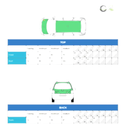 Safe Wash & Paint Report